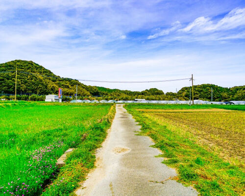 C29A5F81-5724-4243-9988-D9785ADE51D3